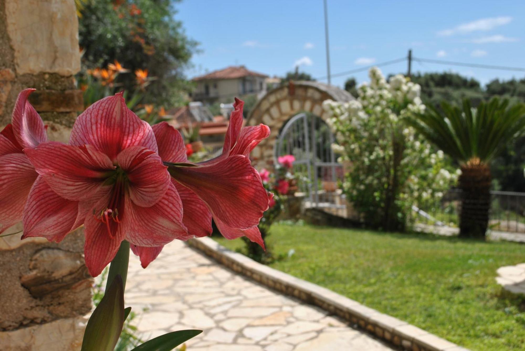 Amaryllis House Lejlighed Parga Eksteriør billede